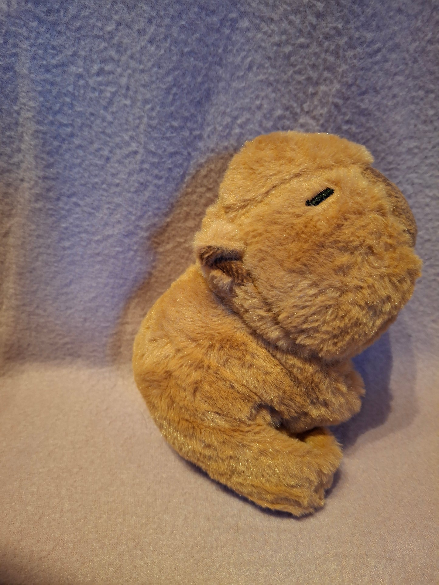 Pols capibara
