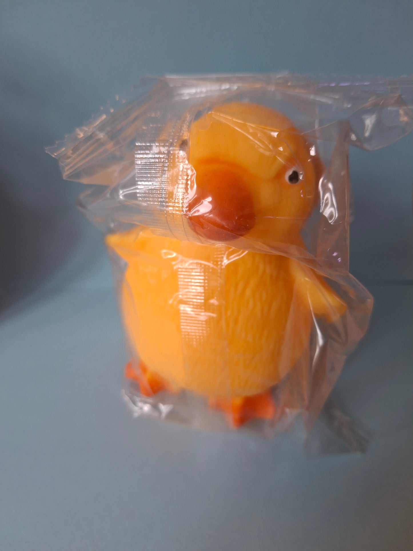 Squeezy duck
