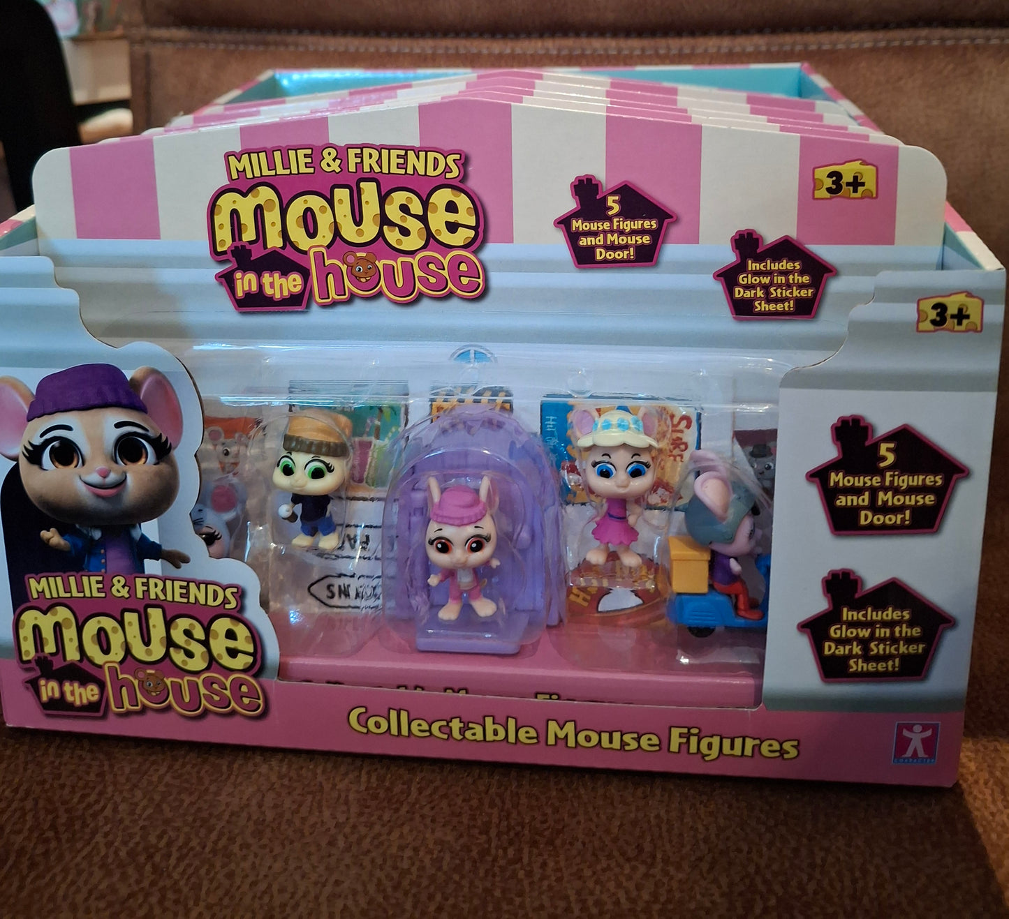 The mouse in the house