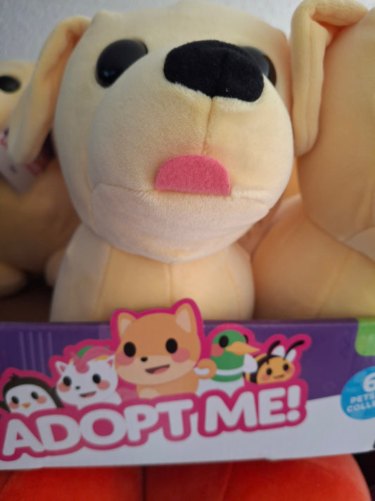 Adopt me hond