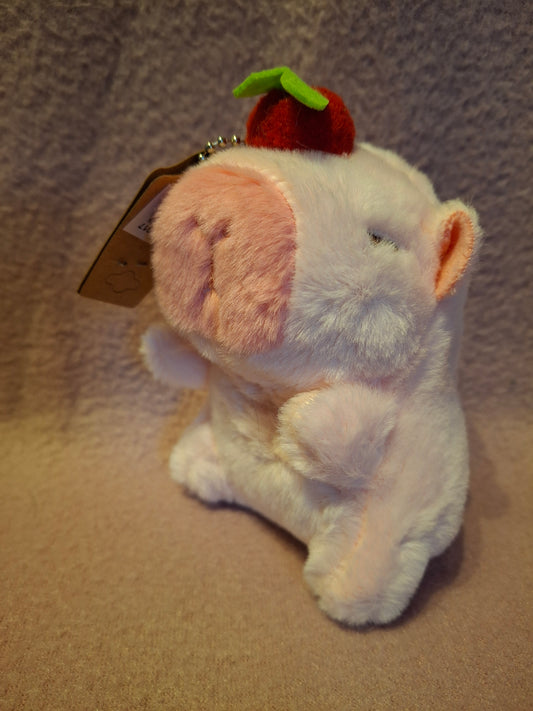 Capibara