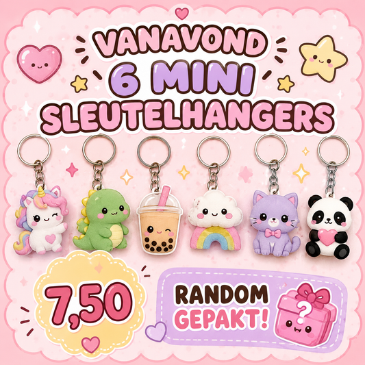 6 mini sleutelhangers