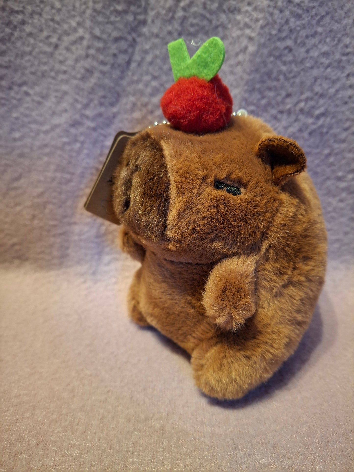Capibara